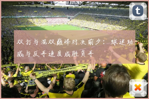 双打与混双巅峰对决前夕：球迷助威与反手速度成胜负手