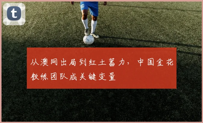 从澳网出局到红土蓄力，中国金花教练团队成关键变量