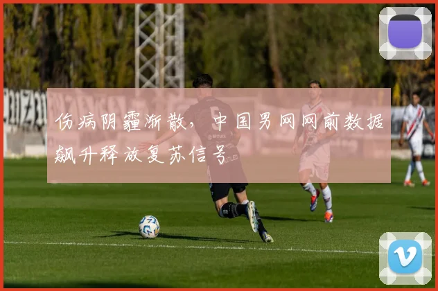 伤病阴霾渐散，中国男网网前数据飙升释放复苏信号