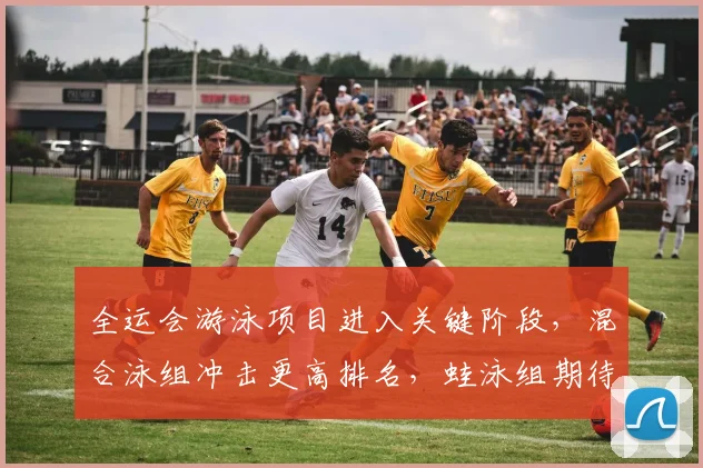 全运会游泳项目进入关键阶段，混合泳组冲击更高排名，蛙泳组期待全面反弹